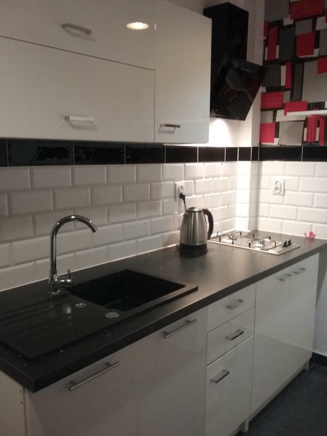 Vintage - Rose Apartament Торунь Экстерьер фото