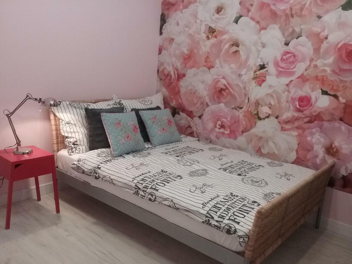 Vintage - Rose Apartament Торунь Экстерьер фото
