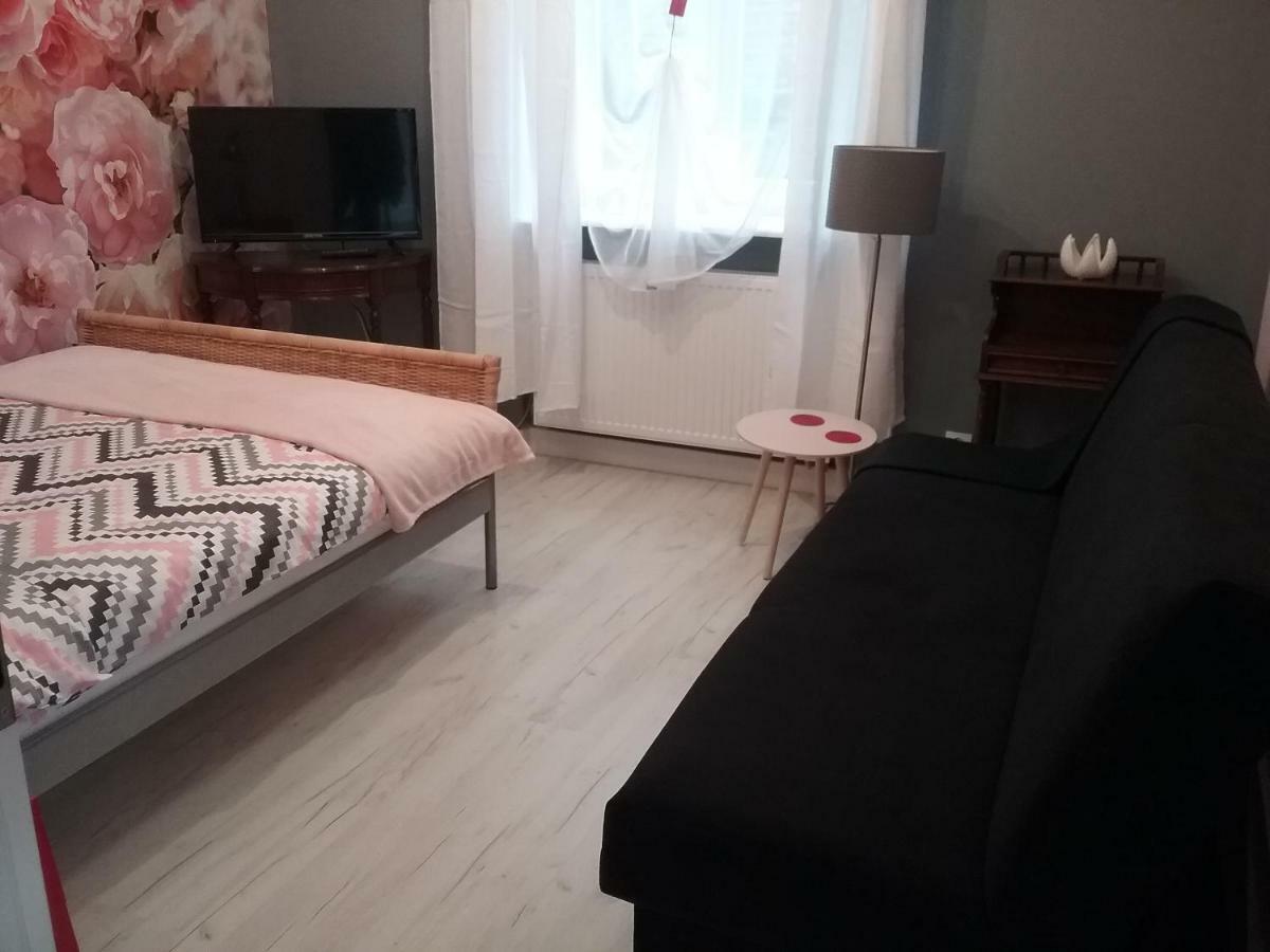 Vintage - Rose Apartament Торунь Экстерьер фото